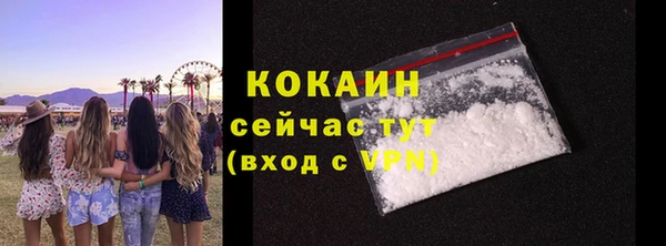 ешки Алзамай