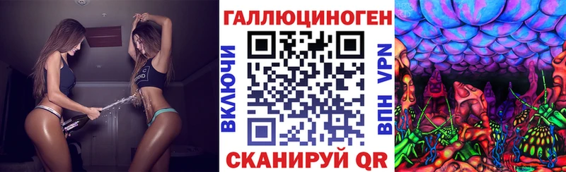 купить закладку  Полярные Зори  Галлюциногенные грибы Psilocybe 